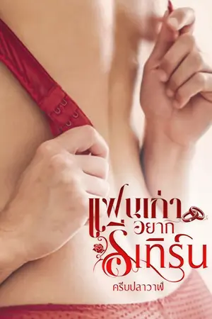 ปกนิยาย