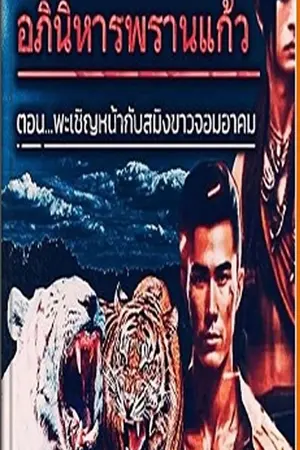 ปกนิยาย อภินิหารพรานแก้ว เล่มที่1