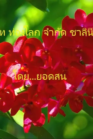 ปกนิยาย บริษัท ท่องโลก จำกัด ชาลินี