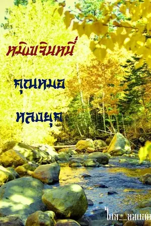 ปกนิยาย