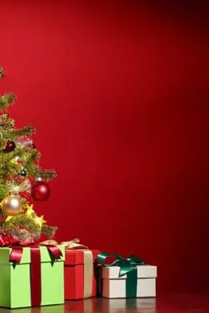 ปกนิยาย เรื่องราวชีวิตใหม่