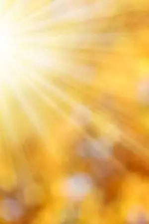 ปกนิยาย หัวใจในแสงแดดอุ่น