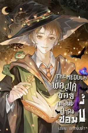 ปกนิยาย (BL) The Meduca : พ่อมดน้อย ทะลุมิติ ฝ่าดงซอมบี้