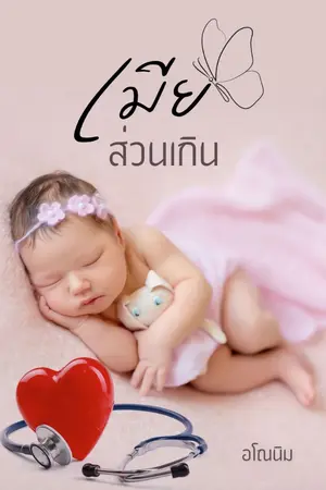 ปกนิยาย เมียส่วนเกิน (4ปีที่ผ่านมาของเรามันคืออะไร หรือเขาแค่หลอกใช้)