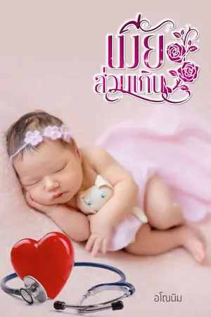 ปกอีบุ๊ก