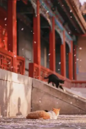 ปกนิยาย ชีวิตตัวร้ายก็เป็นเช่นนี้