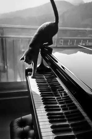 ปกนิยาย (จบ)หุ่นยนต์คนรักของคุณนักประดิษฐ์