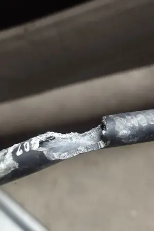 ปกนิยาย เตือนภัย หนูกัดสายไฟ สายน้ำ ในรถยนต์