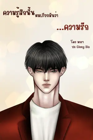 ปกนิยาย ความรู้สึกนั้นผมเรียกมันว่า...ความรัก ( จบแล้ว)