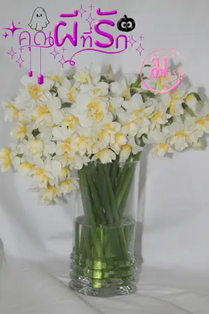 ปกนิยาย คุณผีที่รัก ( จบแล้ว )