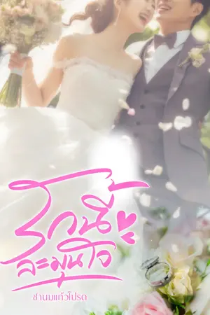 ปกนิยาย รักนี้ละมุนใจ