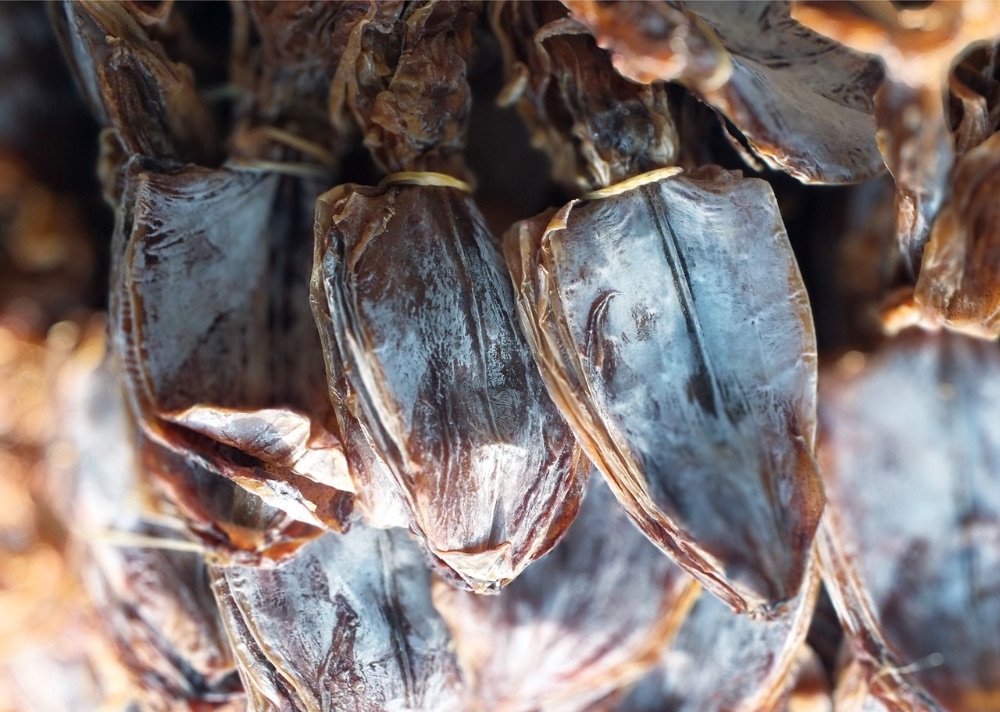 ภาพจาก pixabay.com 