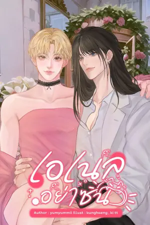 ปกนิยาย เอเนลอย่าซน