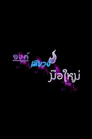 ปกนิยาย องค์เมียวจิมือใหม่