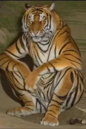 ปกนิยาย ELYSIA— I : The Return of the Parasite Monarch