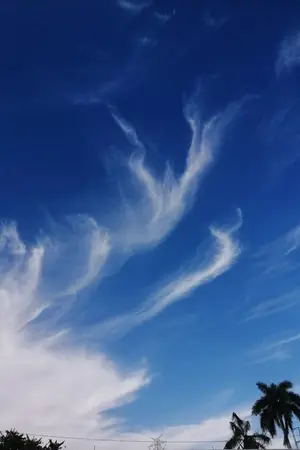 ปกนิยาย คิรินคลั่งรักแค่ติณณ์คนเดียว