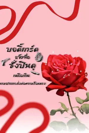 ปกนิยาย บอดี้การ์ดปืนดุ ชั่งเอวดุเหลือเกิน