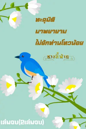 ปกนิยาย