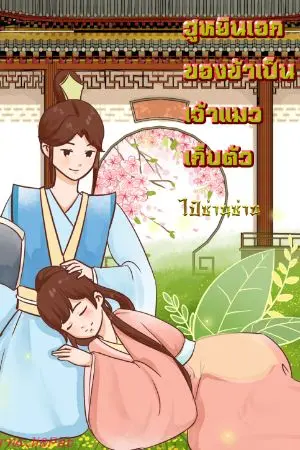 ปกนิยาย