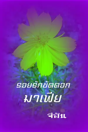 ปกนิยาย รอยรักขัดดอกมาเฟีย(จบแล้ว)