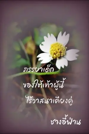 ปกนิยาย ภรรยาเด็กของใต้เท้าผู้นี้ไร้วาสนาเคียงคู่