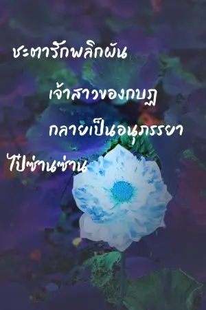 ปกนิยาย ชะตารักเจ้าสาวของกบฏกลายเป็นอนุภรรยา