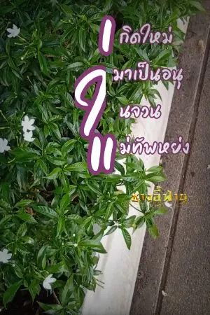 ปกนิยาย เกิดใหม่มาเป็นอนุในจวนแม่ทัพหย่ง