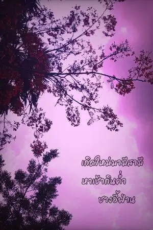 ปกนิยาย เกิดใหม่มามีสามีหาเช้ากินค่ำ