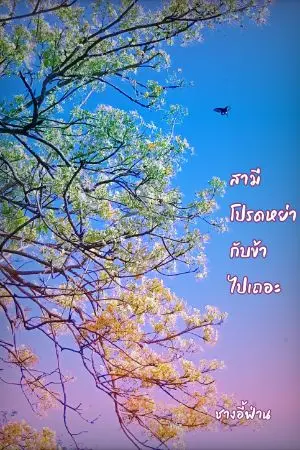 ปกนิยาย สามีโปรดหย่ากับข้าไปเถอะ