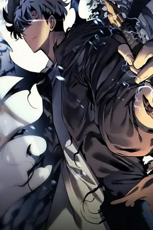 ปกนิยาย solo leveling x  Jujutsu Kaisen