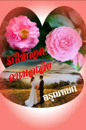 ปกนิยาย รักให้กอดคาเมลเลีย