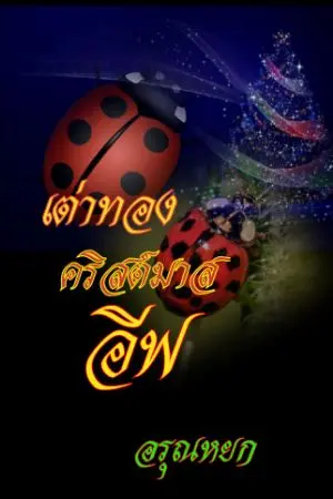 ปกนิยาย เต่าทองคริสต์มาสอีฟ
