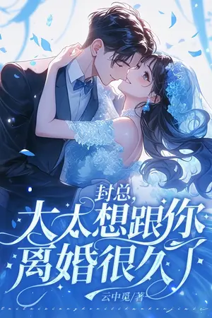 ปกนิยาย (นิยายแปล) คุณเฟิง ภรรยาของคุณอยากหย่ามานานแล้ว