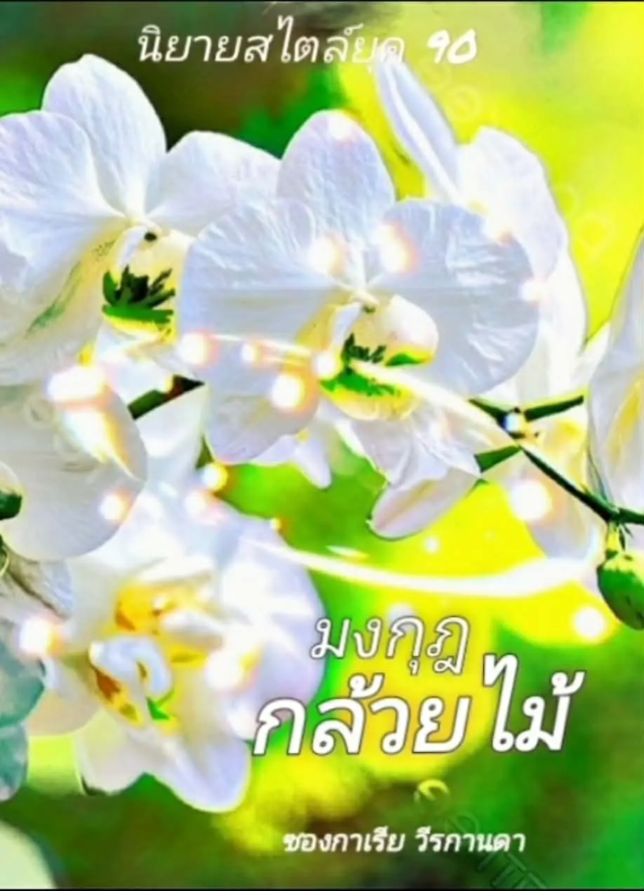 ปกนิยาย มงกุฎกล้วยไม้