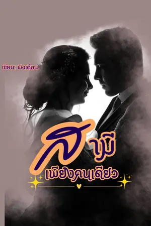 ปกนิยาย สามี เพียงคนเดียว