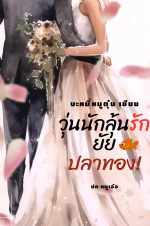 ปกนิยาย