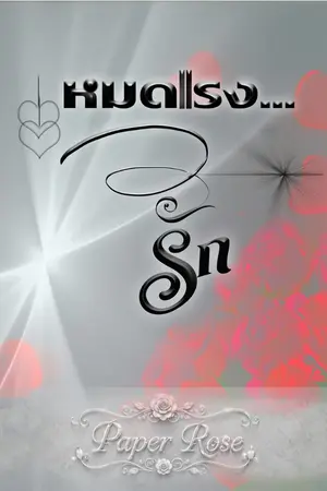 ปกนิยาย