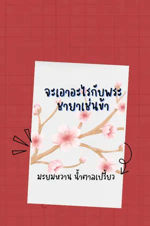 ปกนิยาย จะเอาอะไรกับพระชายาเช่นข้า