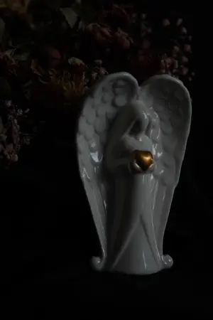 ปกนิยาย My Fallen Angel Baby
