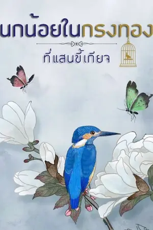 ปกนิยาย