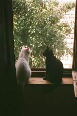 ปกนิยาย ร่องรอยเศษความรักในวันวาน