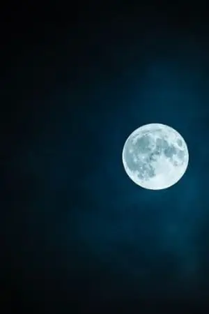 ปกนิยาย โครงงานเฟ้นหาความตาย.pdf