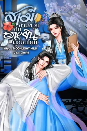 ปกนิยาย สามีสามขวบกับฮูหยินผู้อ่อนโยน