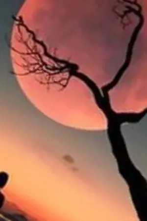 ปกนิยาย ชายลึกลับกับก้อนหินปริศนา