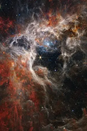 ปกนิยาย 【HunterxHunter】 tarantula nebula (Yaoi)