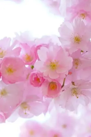 ปกนิยาย จอมเวทย์กระทะเหล็ก