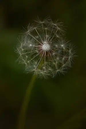 ปกนิยาย เขาเรียกผม นายไตรชาติ