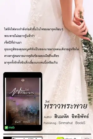 ปกนิยาย พราวพระพาย