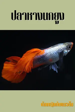 ปกนิยาย เรื่องสั้นสำหรับเด็กประถม_ปลาหางนกยูง