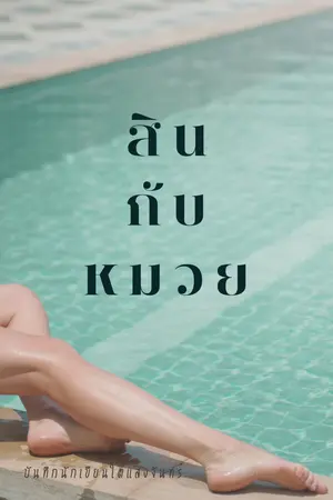 ปกนิยาย สินกับหมวย